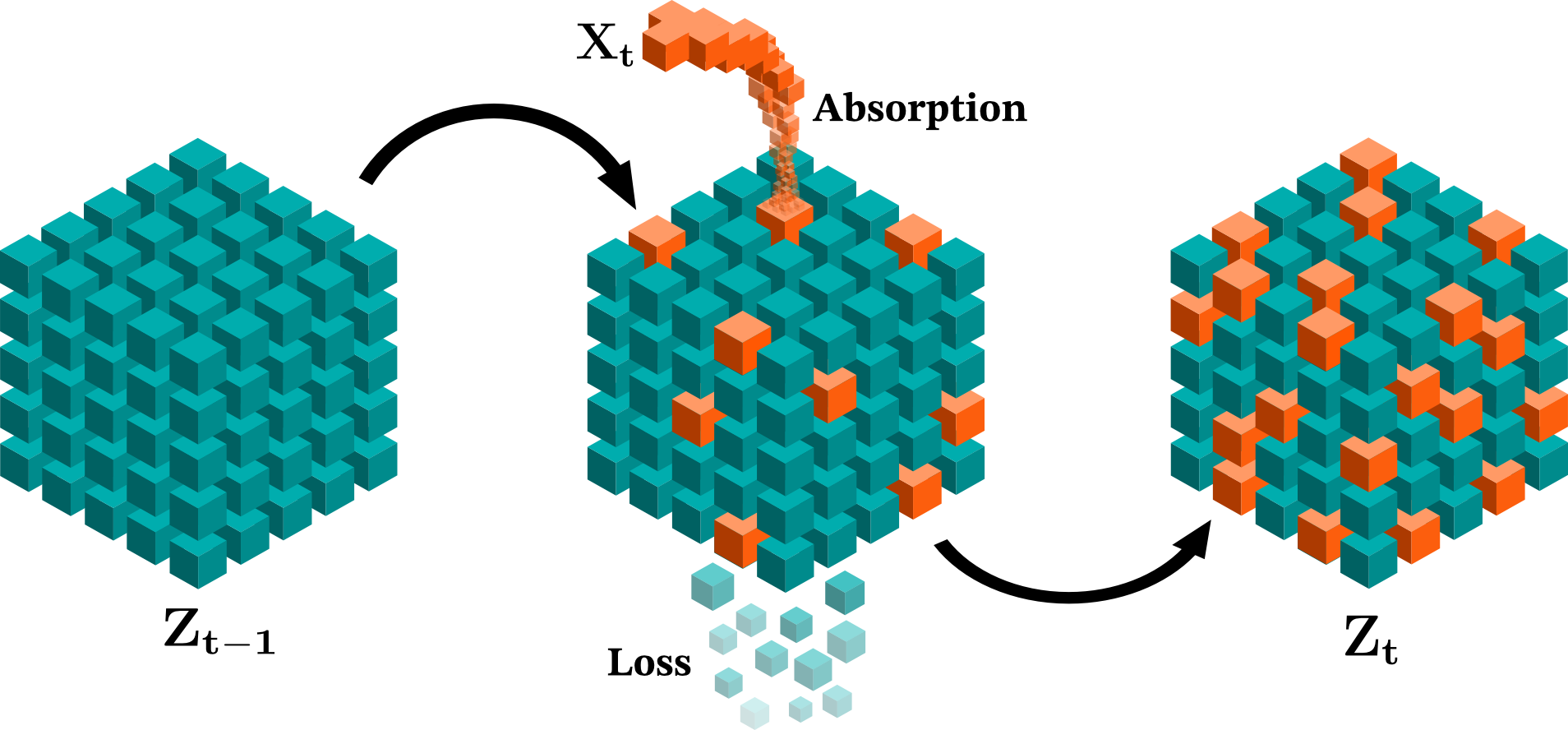 The Absorption and Loss Process